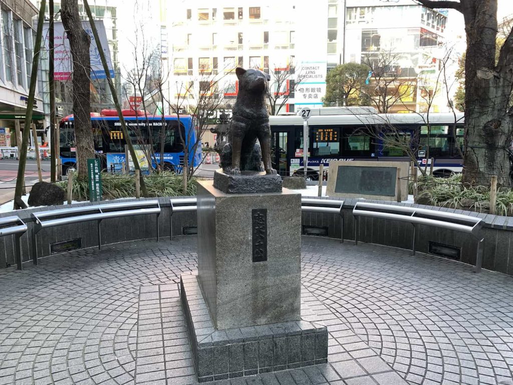 hachiko