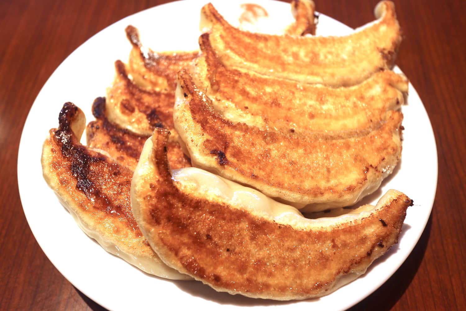 yaki-gyoza-japanized-pan-fried-dumplings