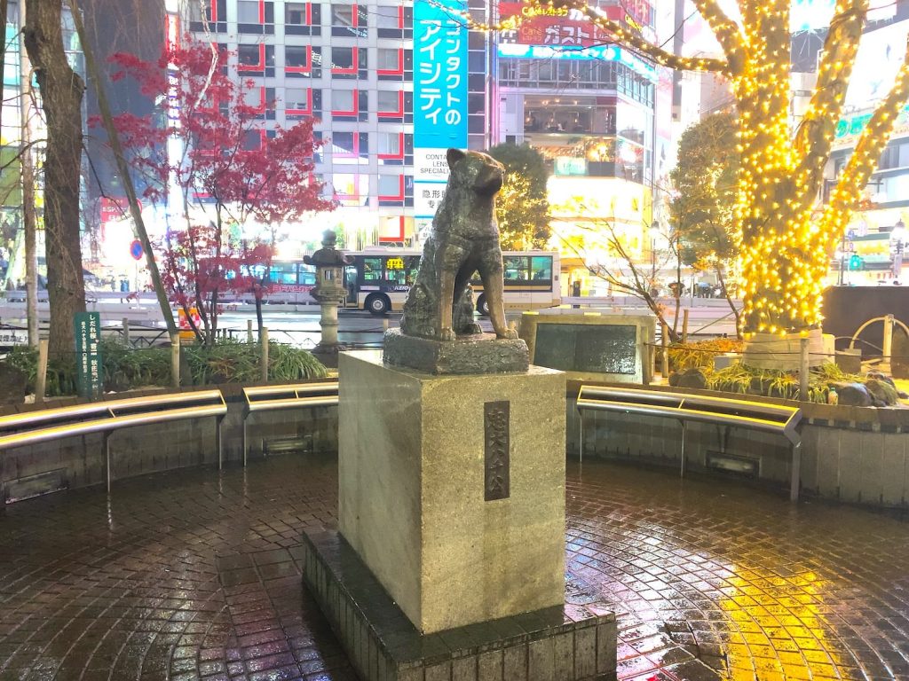 hachiko