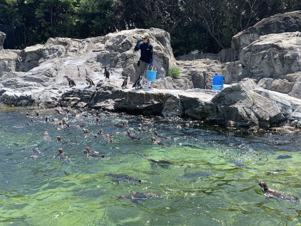 Tokyo Sea Life Park (葛西臨海水族園)