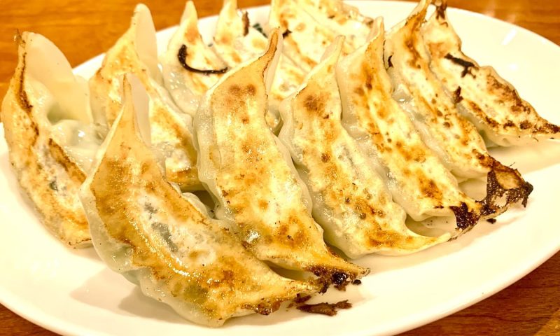 Japanese Dumplings