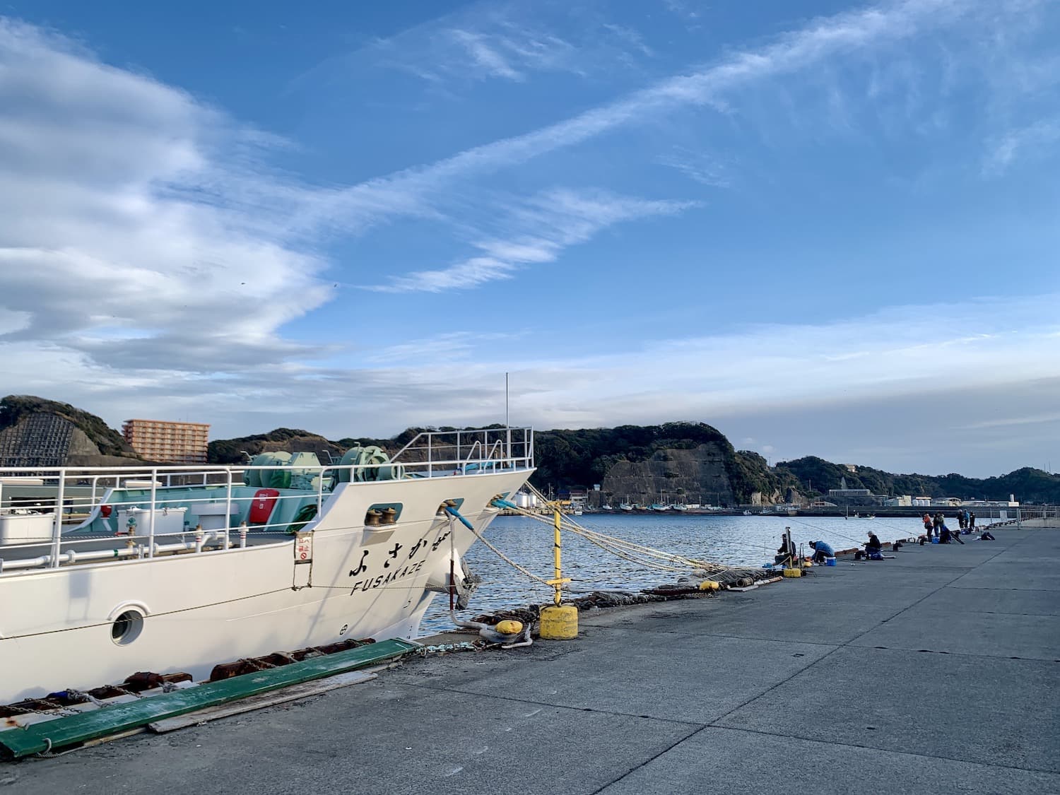 Discover Coastal Charms in Chiba: Katsuura Fishing Port & Tranquil ...