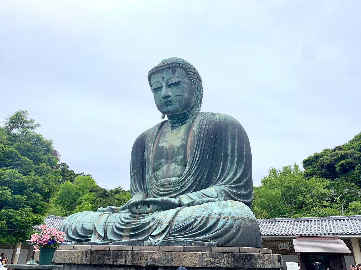 Kotoku In 鎌倉大仏殿高徳院 Buddhist Temple Of The Jodo Shu Sect In The City Of Kamakura Where The 4909